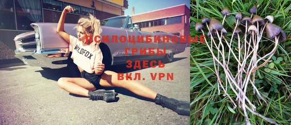 MDMA Premium VHQ Алексеевка